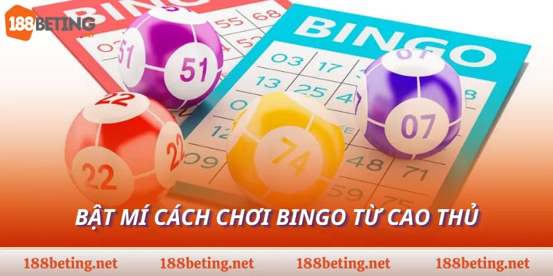 Bật mí cách chơi Bingo từ cao thủ