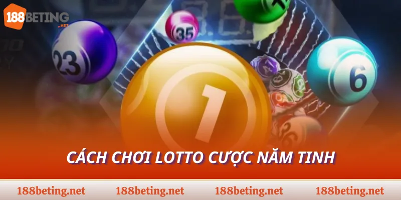 Cách chơi Lotto cược năm tinh