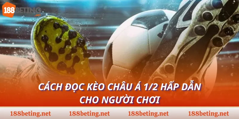 Cách đọc kèo châu Á 1/2 hấp dẫn cho người chơi