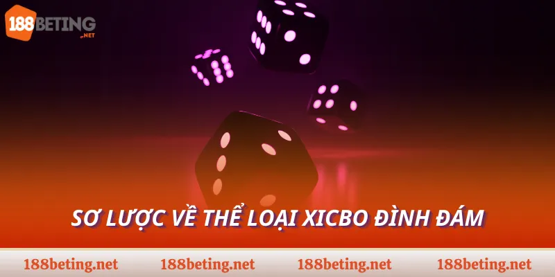 Sơ lược về thể loại xicbo đình đám