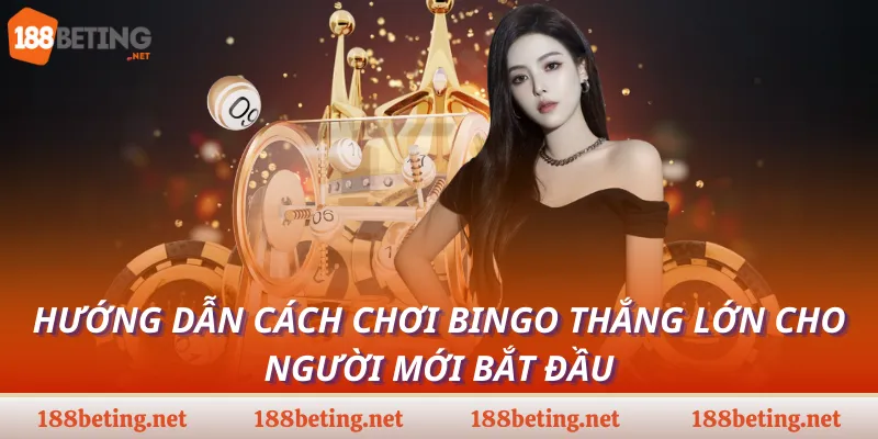 Hướng dẫn cách chơi Bingo thắng lớn cho người mới bắt đầu