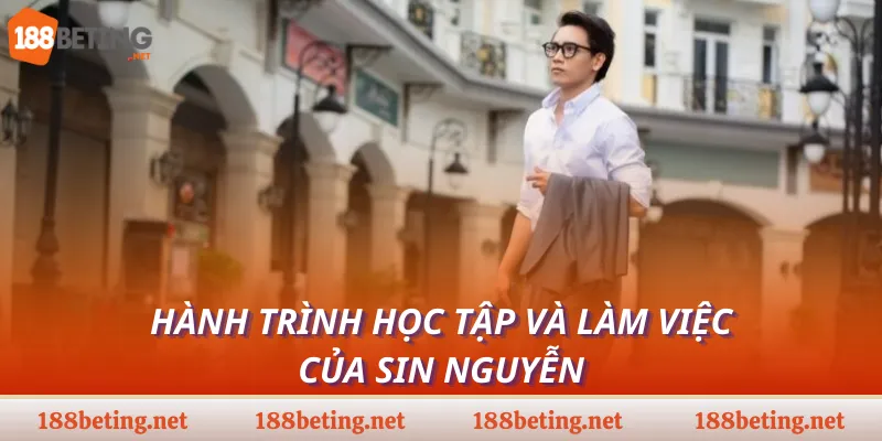 Hành trình học tập và làm việc của Sin Nguyễn